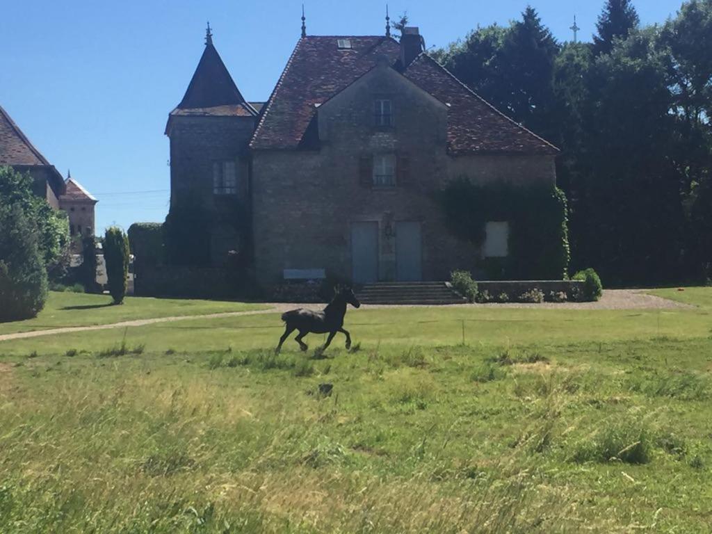 Apartmán Au Chateau Miserey-Salines Exteriér fotografie